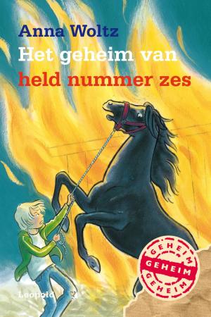 Cover of the book Het geheim van held nummer zes by Anna van Praag