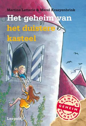 Cover of the book Het geheim van het duistere kasteel by Anna Woltz