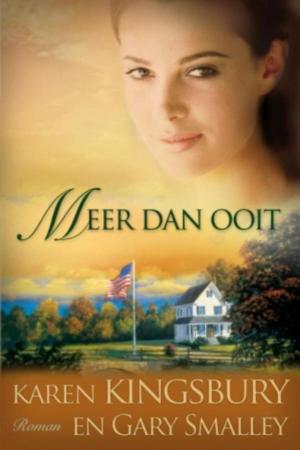 Cover of the book Meer dan ooit by Dani Atkins