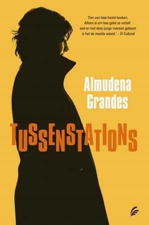 Cover of the book Tussenstations by Nico Dijkshoorn