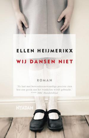 Cover of the book Wij dansen niet by Gerbert van der Aa
