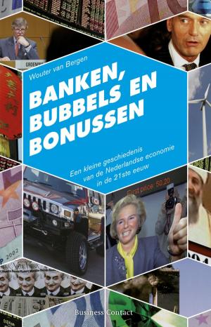 Cover of the book Banken, bubbels en bonussen by Pim Wiersinga