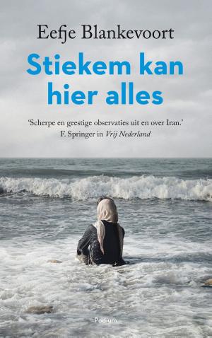 Cover of the book Stiekem kan hier alles by Dorthe Nors