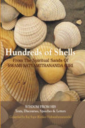 Cover of the book Hundreds of Shells by VIJAY N. SHANKAR