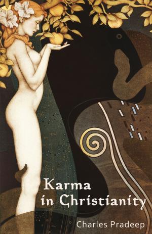Cover of Karma in Christianity
