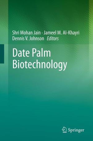 Cover of the book Date Palm Biotechnology by H.P. Kainz