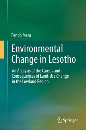 Book cover of Environmental Change in Lesotho