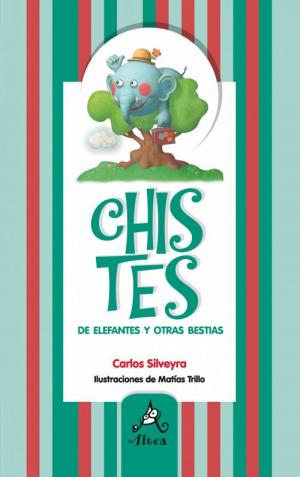 Cover of the book Chistes de elefantes by Canela