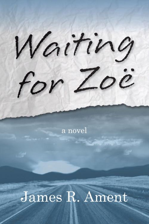 Cover of the book Waiting for Zoë by James R. Ament, Hugo House Publishers, Ltd.