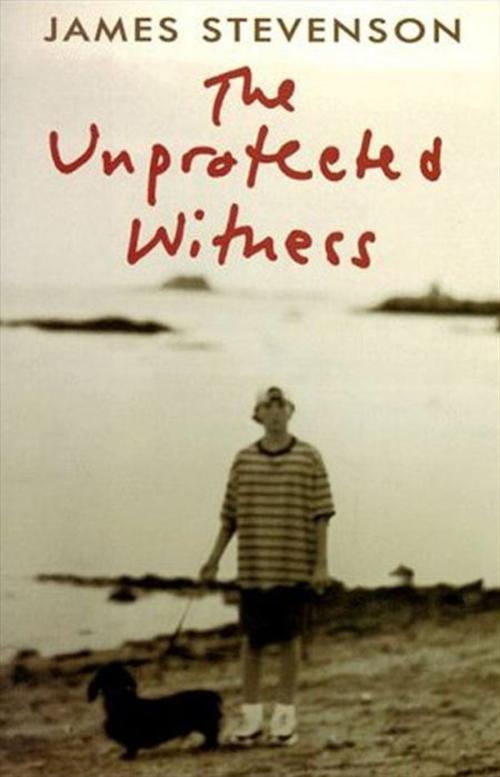 Cover of the book The Unprotected Witness by James Stevenson, Greenwillow Books