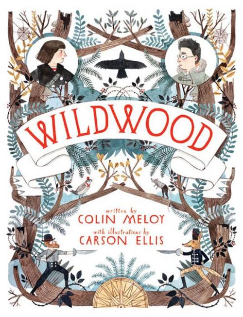 Cover of the book Wildwood by Colin Meloy, Balzer + Bray