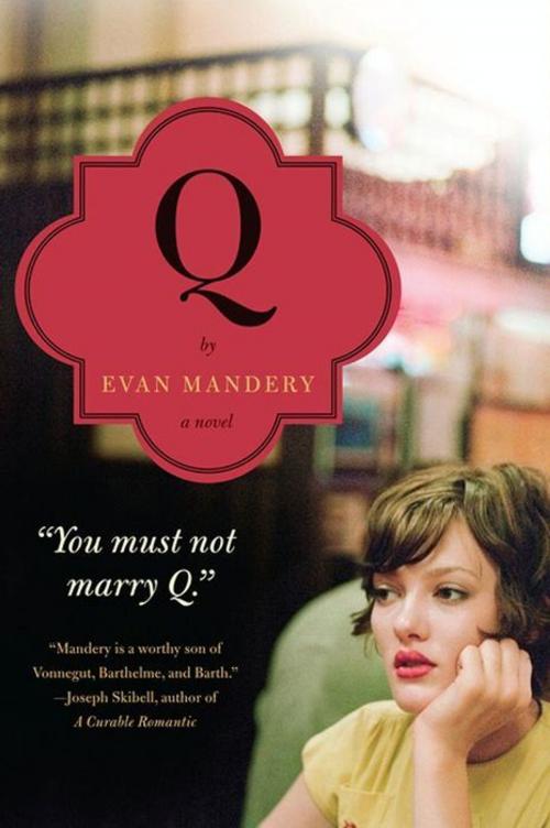 Cover of the book Q: A Novel by Evan Mandery, William Morrow Paperbacks