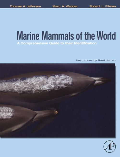 Cover of the book Marine Mammals of the World: A Comprehensive Guide to Their Identification by Thomas A. Jefferson, Marc A. Webber, Robert L. Pitman, Elsevier Science