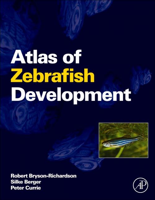 Cover of the book Atlas of Zebrafish Development by Robert Bryson-Richardson, Silke Berger, Peter Currie, Elsevier Science