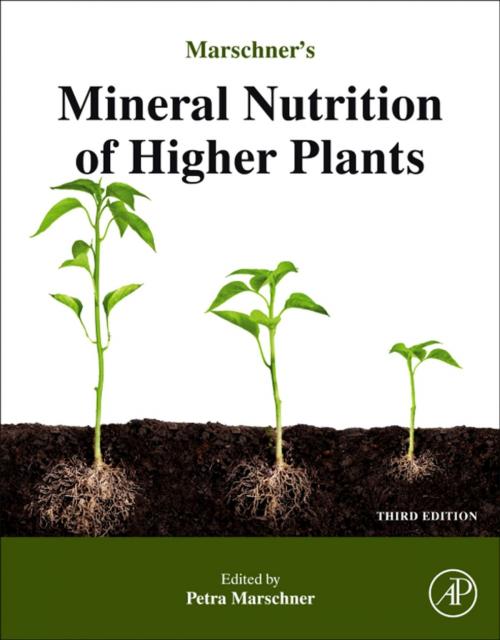 Cover of the book Marschner's Mineral Nutrition of Higher Plants by Horst Marschner, Elsevier Science