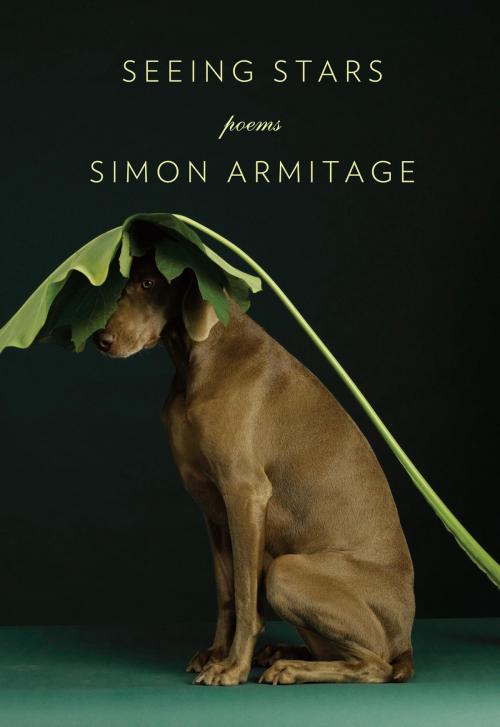 Cover of the book Seeing Stars by Simon Armitage, Knopf Doubleday Publishing Group
