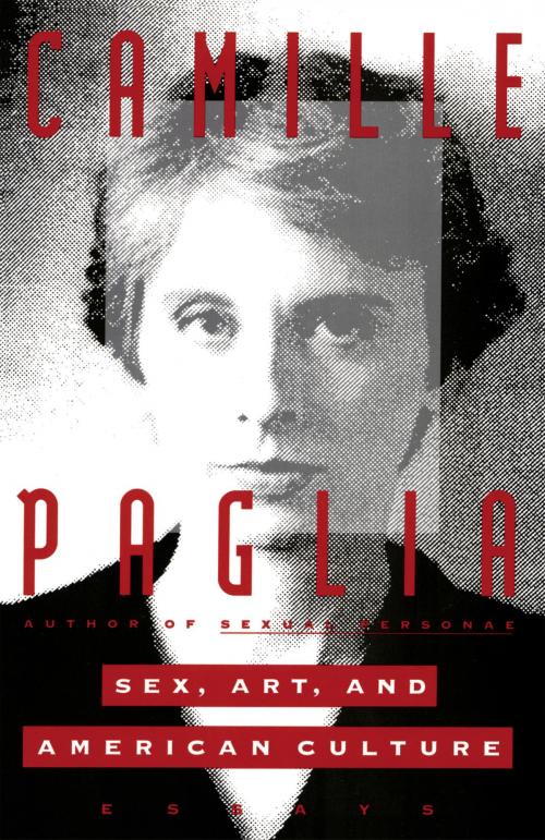 Cover of the book Sex, Art, and American Culture by Camille Paglia, Knopf Doubleday Publishing Group