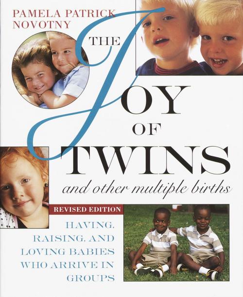 Cover of the book The Joy of Twins and Other Multiple Births by Pamela Patrick Novotny, Potter/Ten Speed/Harmony/Rodale