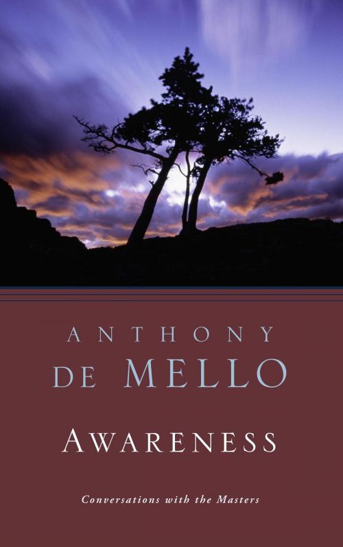 Cover of the book Awareness by Anthony De Mello, The Crown Publishing Group