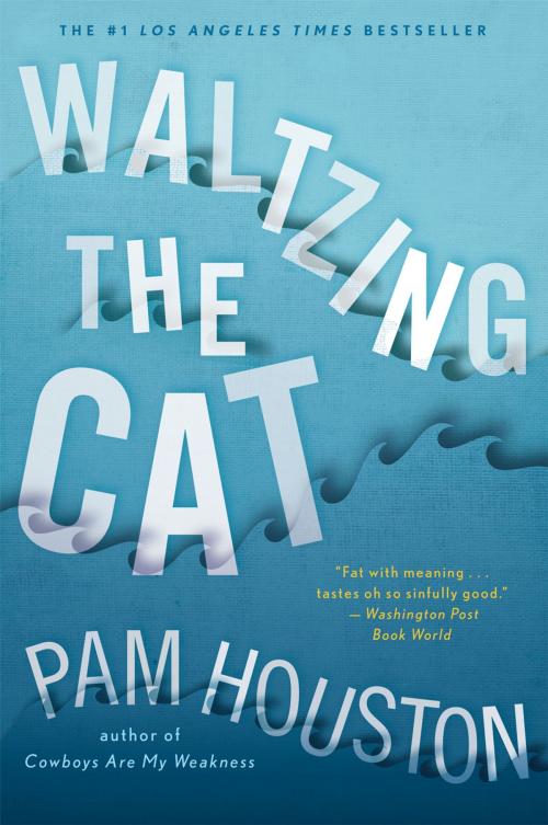 Cover of the book Waltzing the Cat by Pam Houston, W. W. Norton & Company