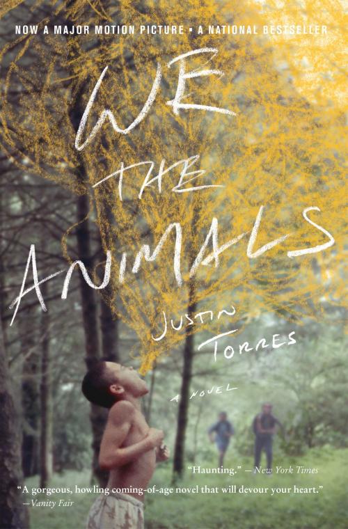 Cover of the book We the Animals by Justin Torres, HMH Books