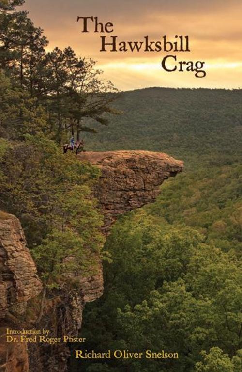 Cover of the book The Hawksbill Crag by Snelson, Richard O., Infinity Publishing