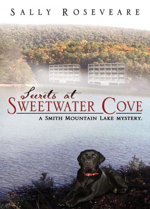 Cover of the book Secrets at Sweetwater Cove by Roseveare, Sally, Infinity Publishing
