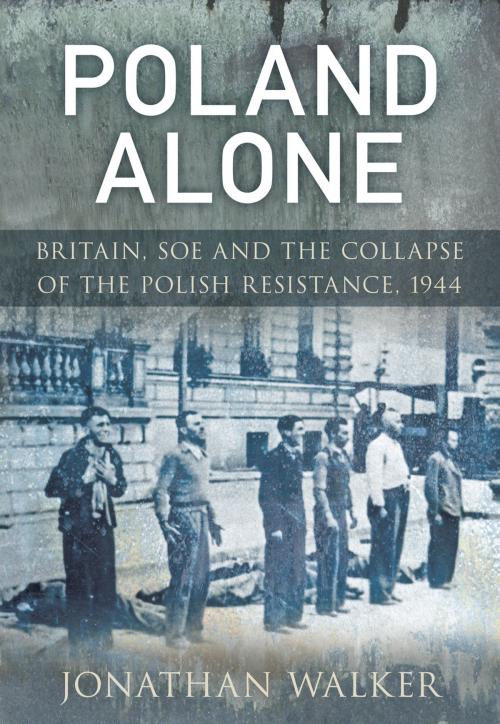 Cover of the book Poland Alone by Jonathan Walker, The History Press