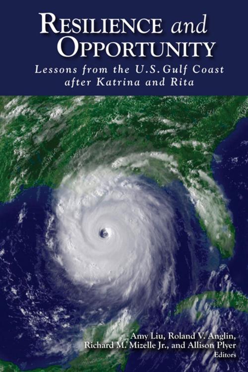 Cover of the book Resilience and Opportunity by , Brookings Institution Press