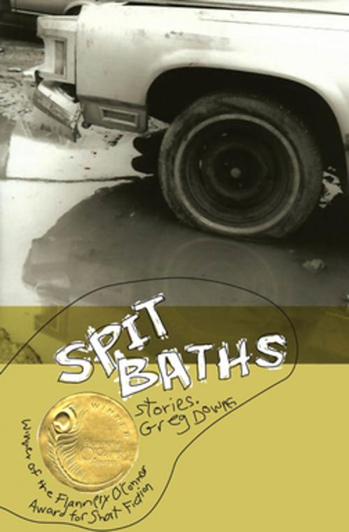 Cover of the book Spit Baths by Greg Downs, University of Georgia Press