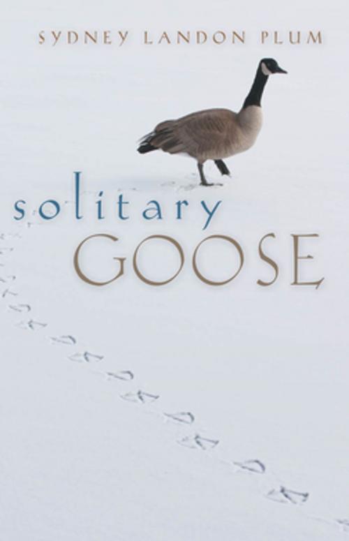 Cover of the book Solitary Goose by Sydney Landon Plum, University of Georgia Press
