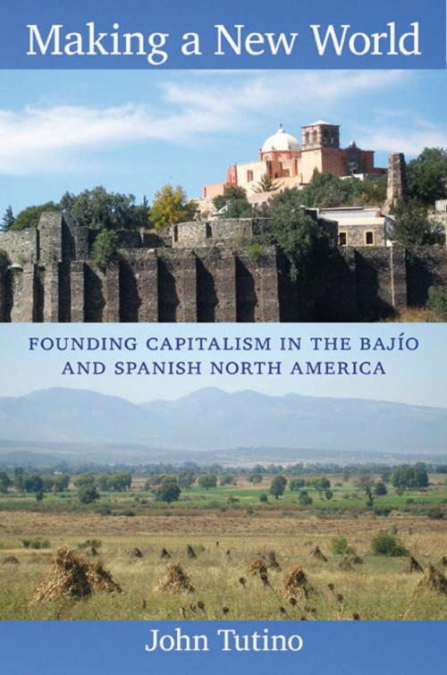 Cover of the book Making a New World by John Tutino, Duke University Press