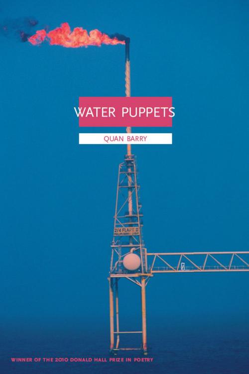 Cover of the book Water Puppets by Quan Barry, University of Pittsburgh Press