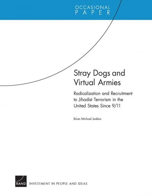 Cover of the book Stray Dogs and Virtual Armies by Brian Michael Jenkins, RAND Corporation