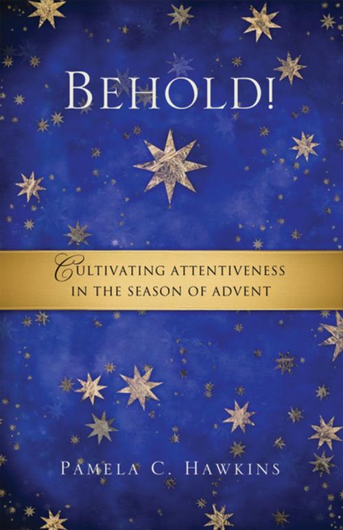 Cover of the book Behold! by Pamela C. Hawkins, Upper Room