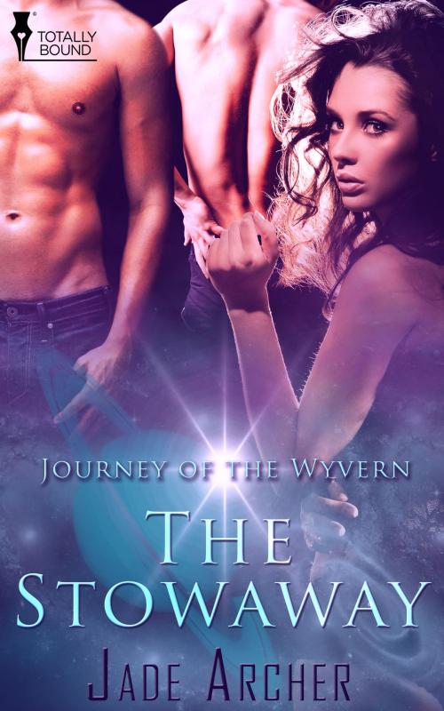 Cover of the book The Stowaway by Jade Archer, Totally Entwined Group Ltd
