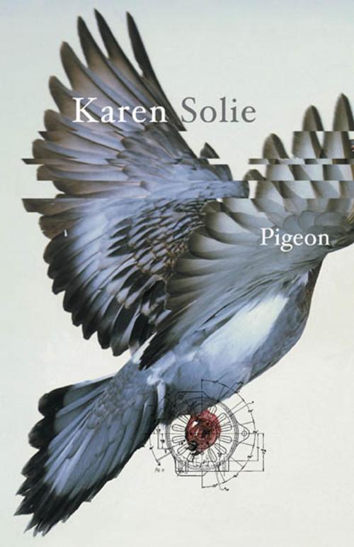 Cover of the book Pigeon by Karen Solie, House of Anansi Press Inc