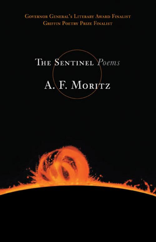 Cover of the book The Sentinel by A.F. Moritz, House of Anansi Press Inc