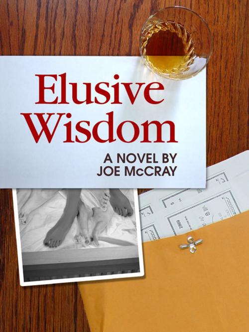 Cover of the book Elusive Wisdom by Joe McCray, Joe McCray
