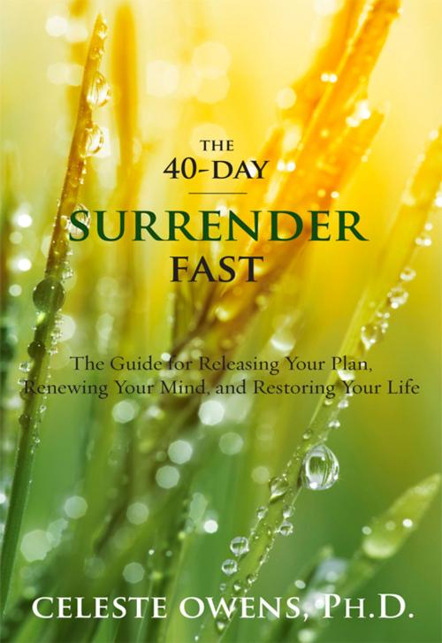 Cover of the book The 40-Day Surrender Fast by Celeste Owens, Good Success Publishing