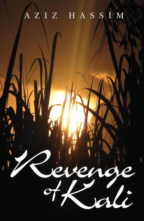 Cover of the book Revenge of Kali by Aziz Hassim, Real African Publishers