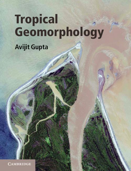 Cover of the book Tropical Geomorphology by Avijit Gupta, Cambridge University Press