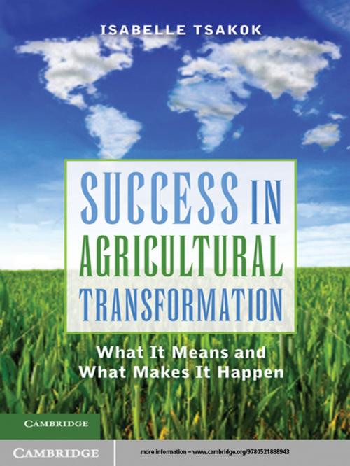 Cover of the book Success in Agricultural Transformation by Isabelle Tsakok, Cambridge University Press