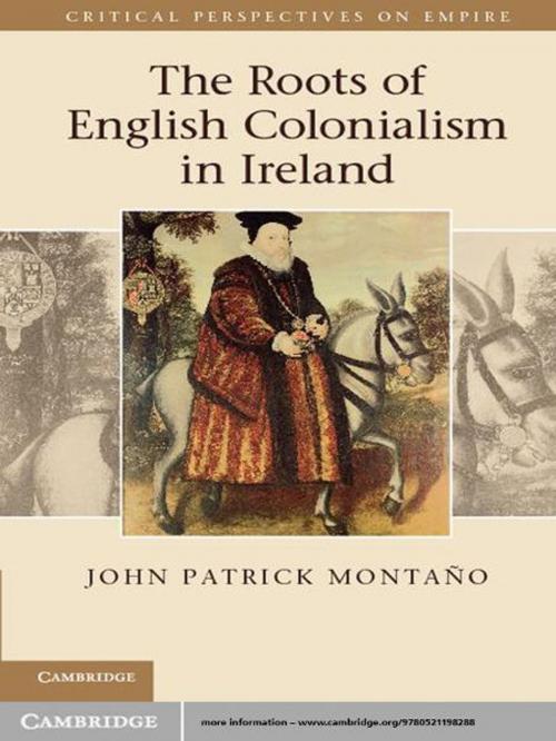 Cover of the book The Roots of English Colonialism in Ireland by John Patrick Montaño, Cambridge University Press