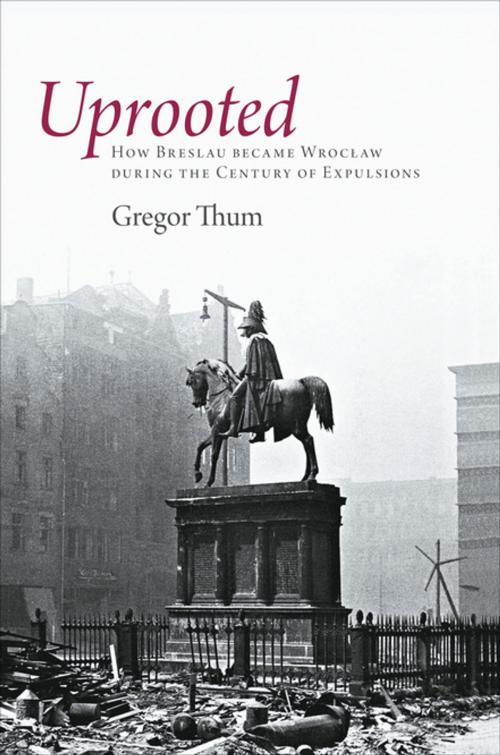 Cover of the book Uprooted by Gregor Thum, Princeton University Press
