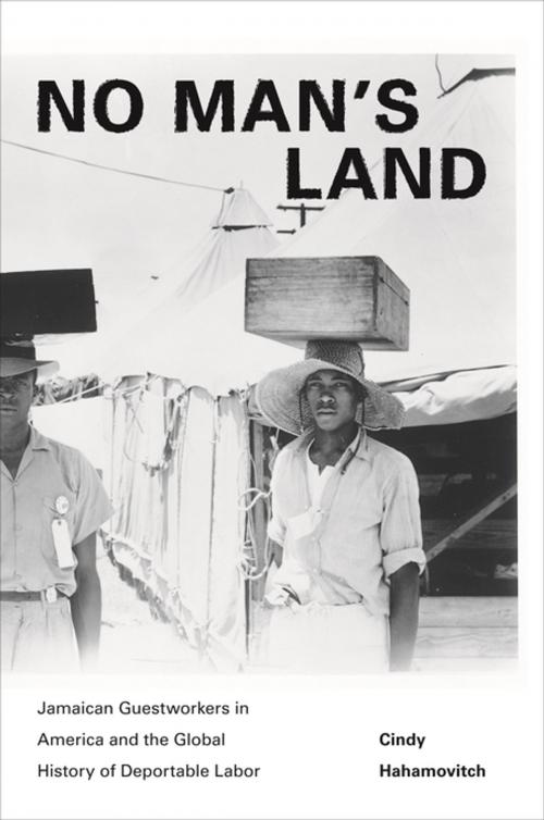 Cover of the book No Man's Land by Cindy Hahamovitch, Princeton University Press