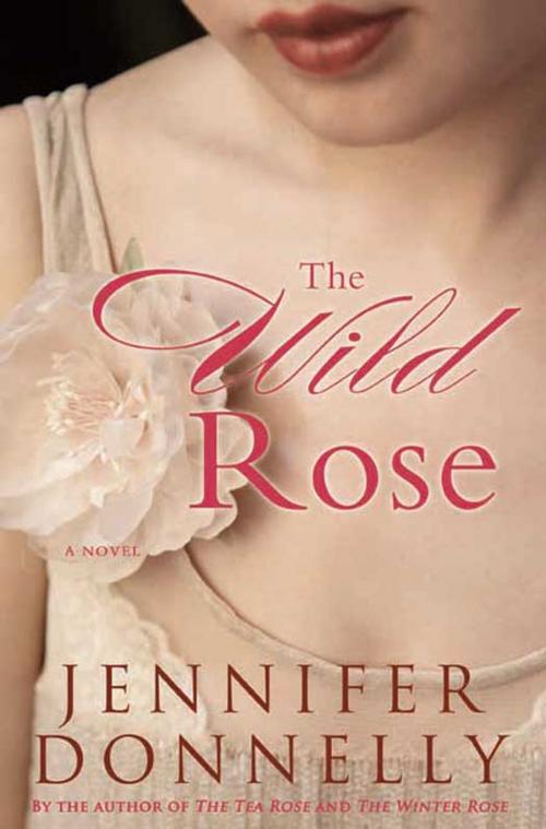 Cover of the book The Wild Rose by Jennifer Donnelly, Hachette Books
