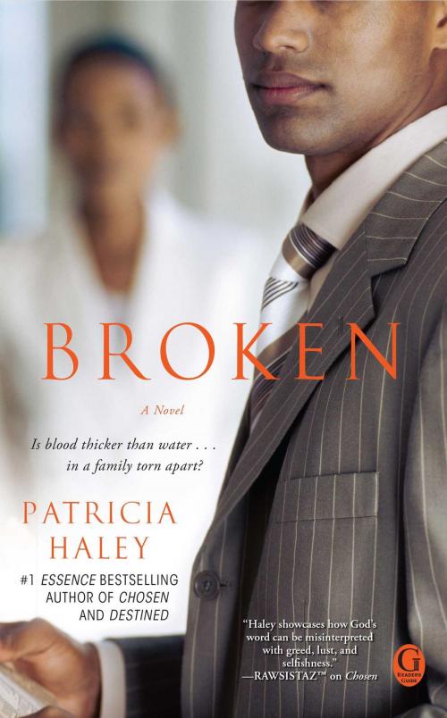 Cover of the book Broken by Patricia Haley, Gallery Books