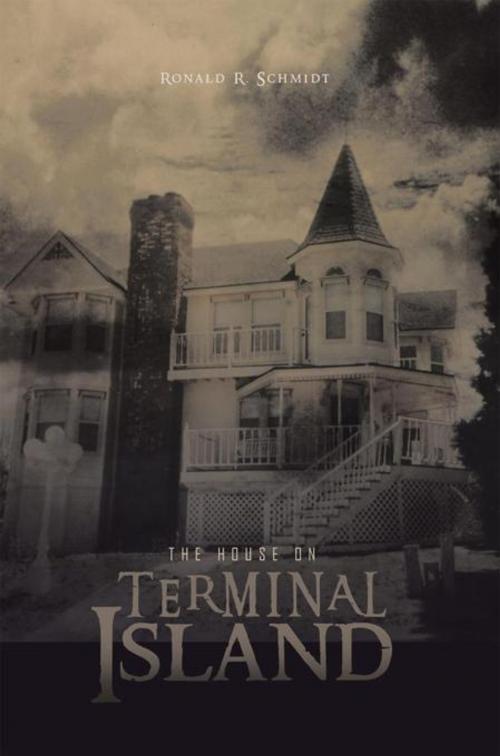 Cover of the book The House on Terminal Island by Ronald R. Schmidt, Trafford Publishing