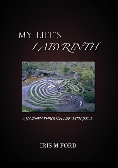 Cover of the book My Life's Labyrinth by IRIS M FORD, Trafford Publishing